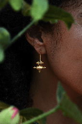 Gold Plated Hirz Earrings